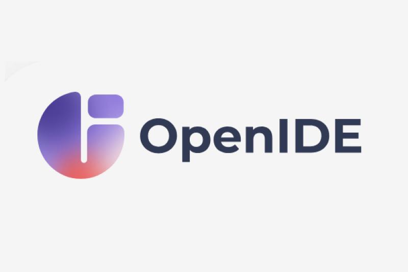 OpenIDE 2025.1: российская IDE становится лидером среди локальных альтернатив для Java-разработчиков