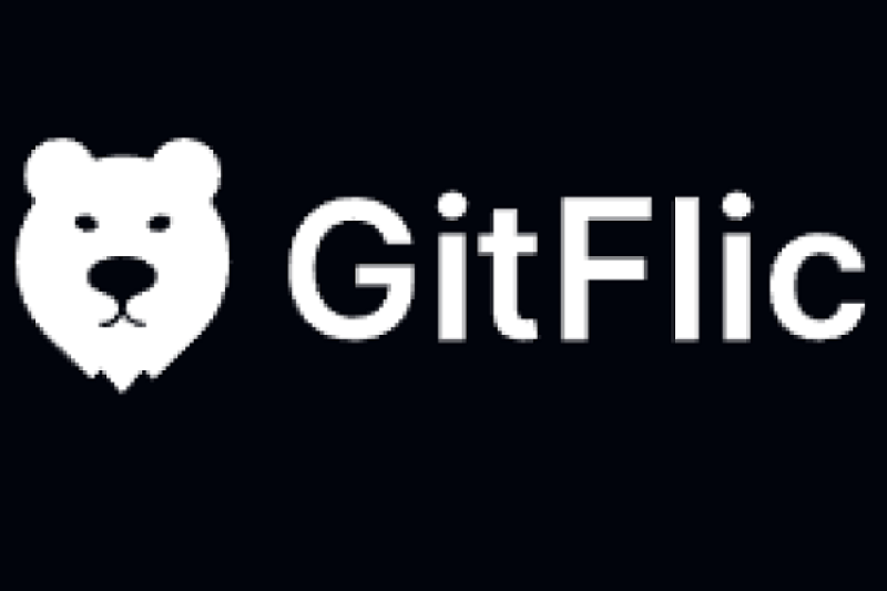 GitFlic признана лидером среди российских DevOps-платформ
