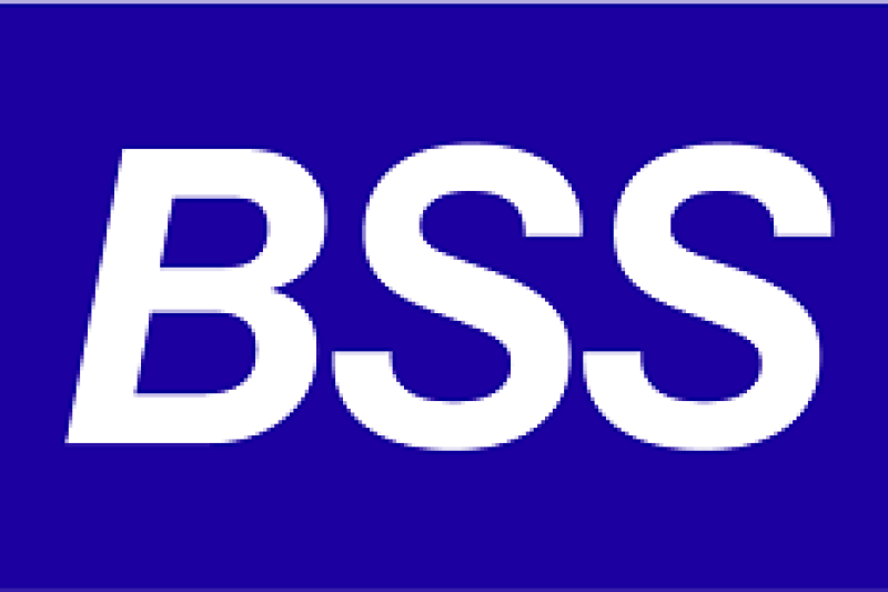 ИИ-роботы от BSS теперь отвечают мгновенно — без задержек на обдумывание и генерацию реплик