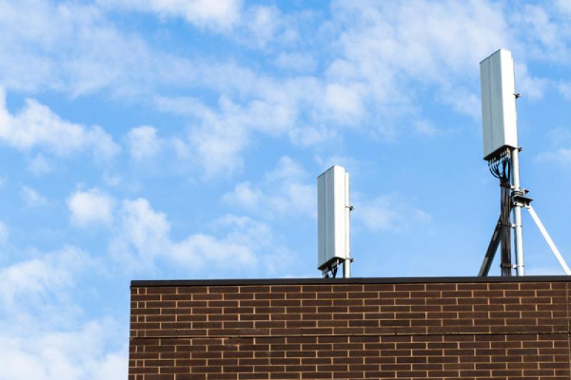 МегаФон ускорил «Золотые мозги»