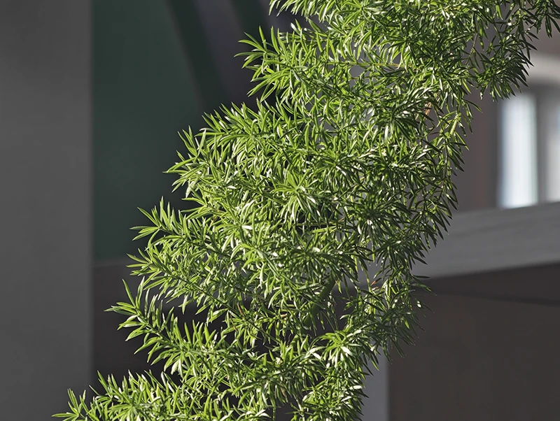 Пятикратный зум: четко видна каждая деталь 