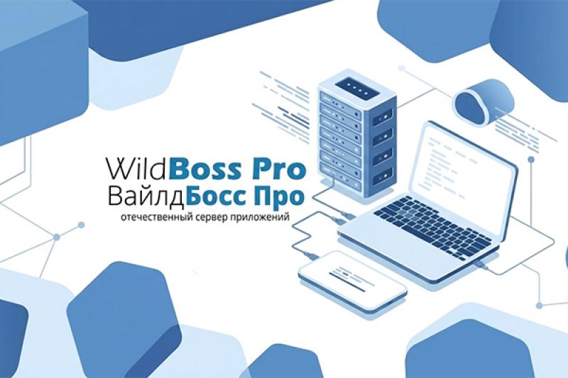 WildBoss Pro / ВайлдБосс Про 2026: Подтверждение бесшовной миграции с западных серверов приложений