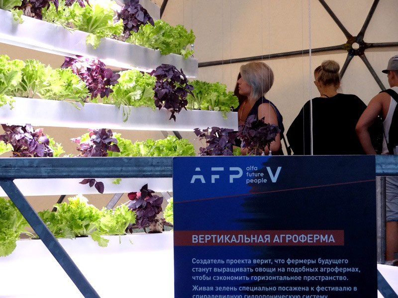 Юбилейный AFP-2018 в Большом Козино: фоторепортаж Юбилейный AFP-2018 в Большом Козино: фоторепортаж